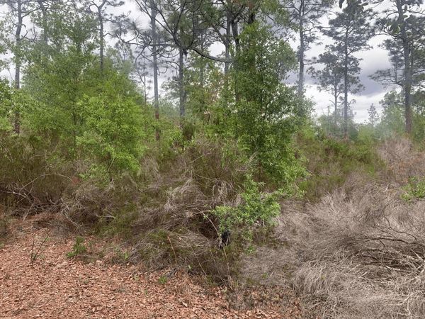 0 Somerset Avenue, Interlachen, FL 32148