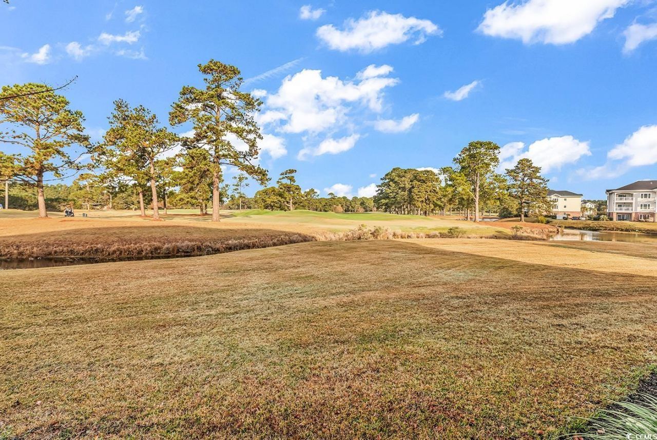 4815 Orchid Way Photo 26