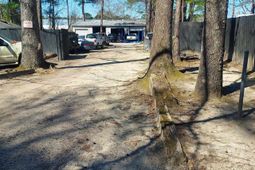 2443 Decker Boulevard  photo 4