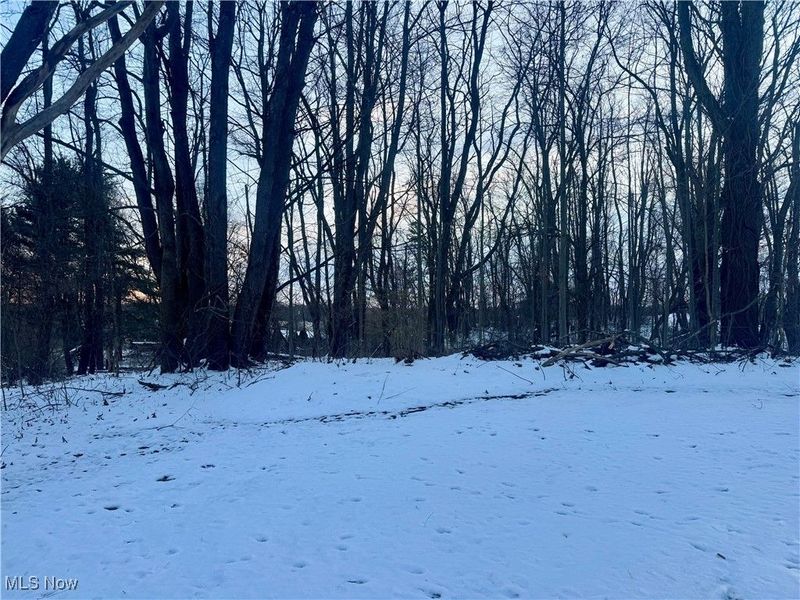 newton, Brimfield, OH 44278 Photo 4