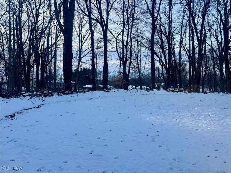 newton, Brimfield, OH 44278 Photo 5