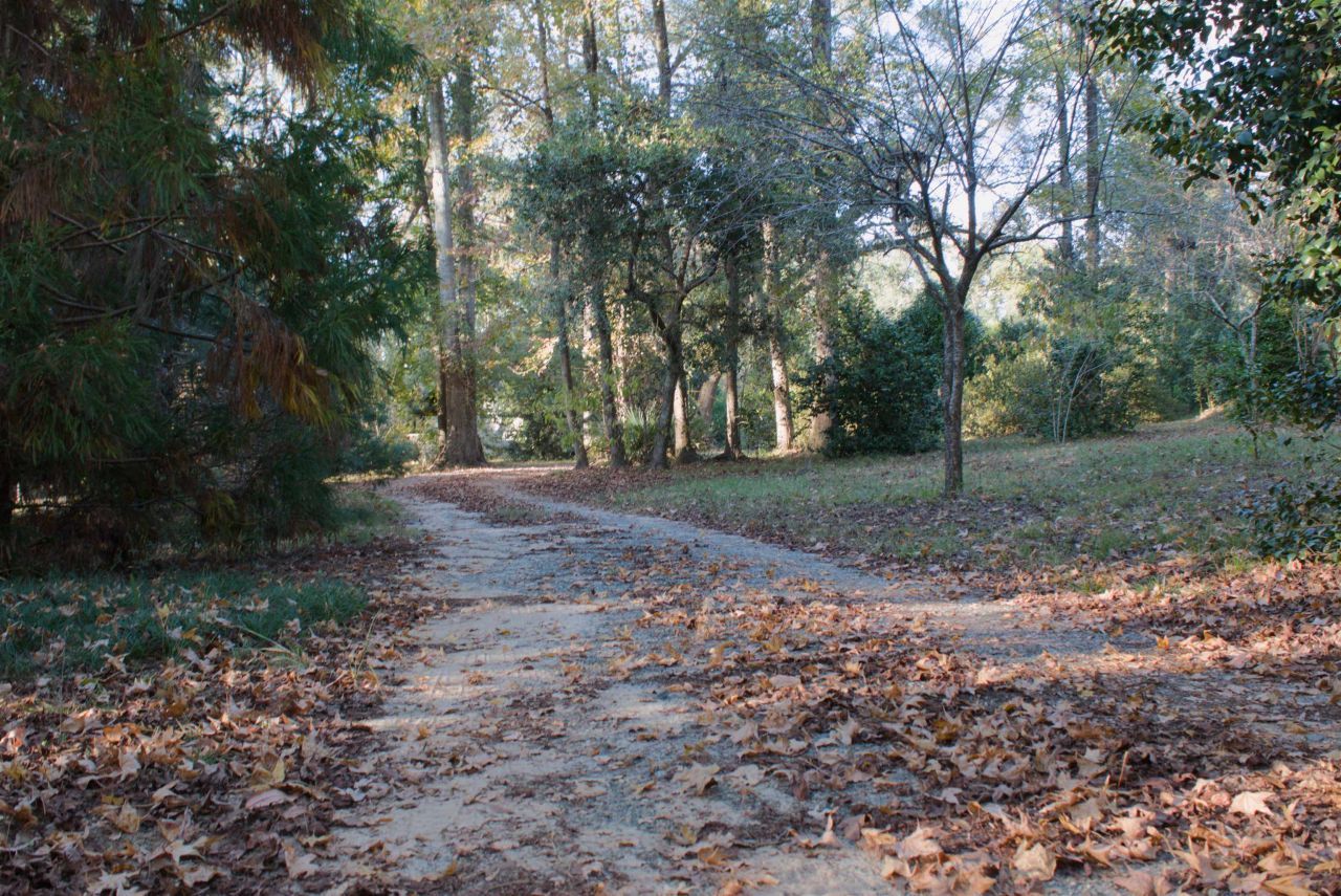 298 W 12th Drive, Greenville, FL 32331 Photo