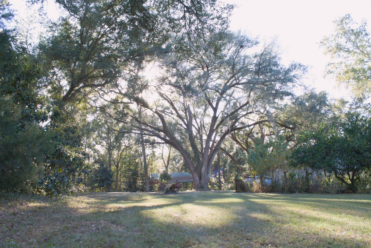 298 W 12th Drive, Greenville, FL 32331 Photo