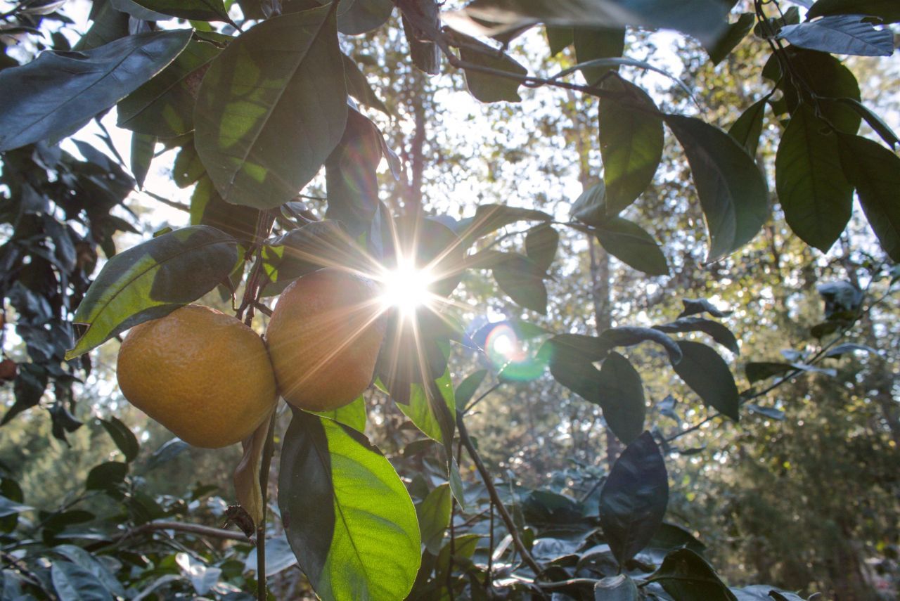 298 W 12th Drive, Greenville, FL 32331 Photo