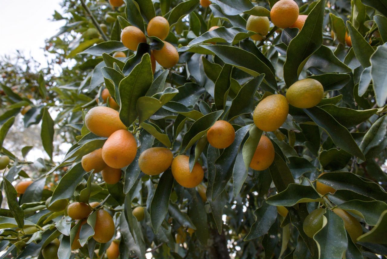 298 W 12th Drive, Greenville, FL 32331 Photo