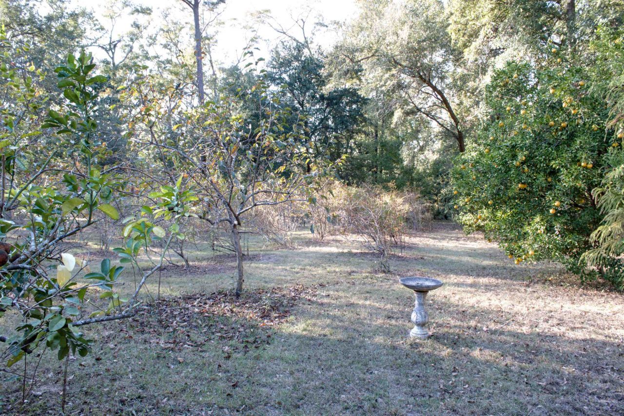 298 W 12th Drive, Greenville, FL 32331 Photo