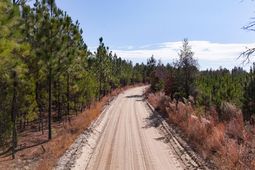 0 Beaver Dam Rd photo 4