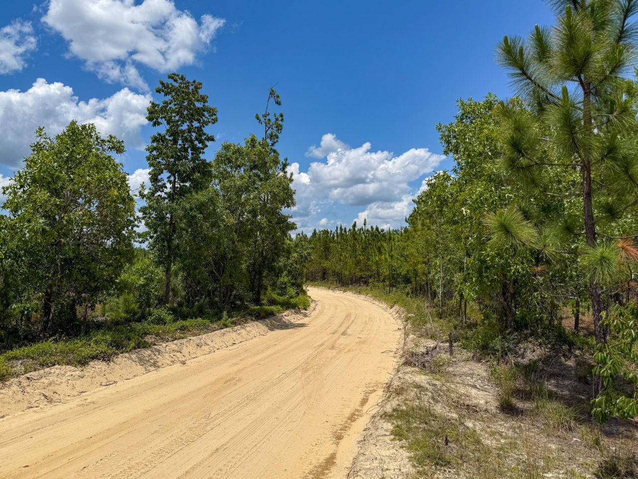 0 Beaver Dam Rd Photo 4