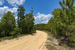 0 Beaver Dam Rd photo 4