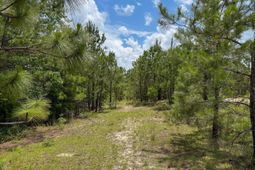 0 Beaver Dam Rd photo 4