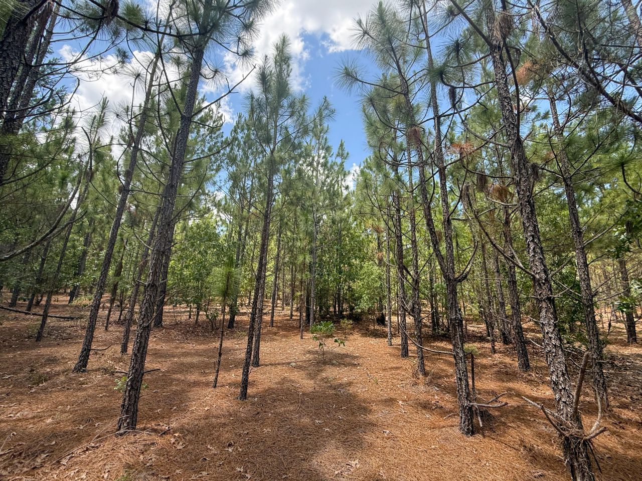 0 Beaver Dam Rd Photo 6