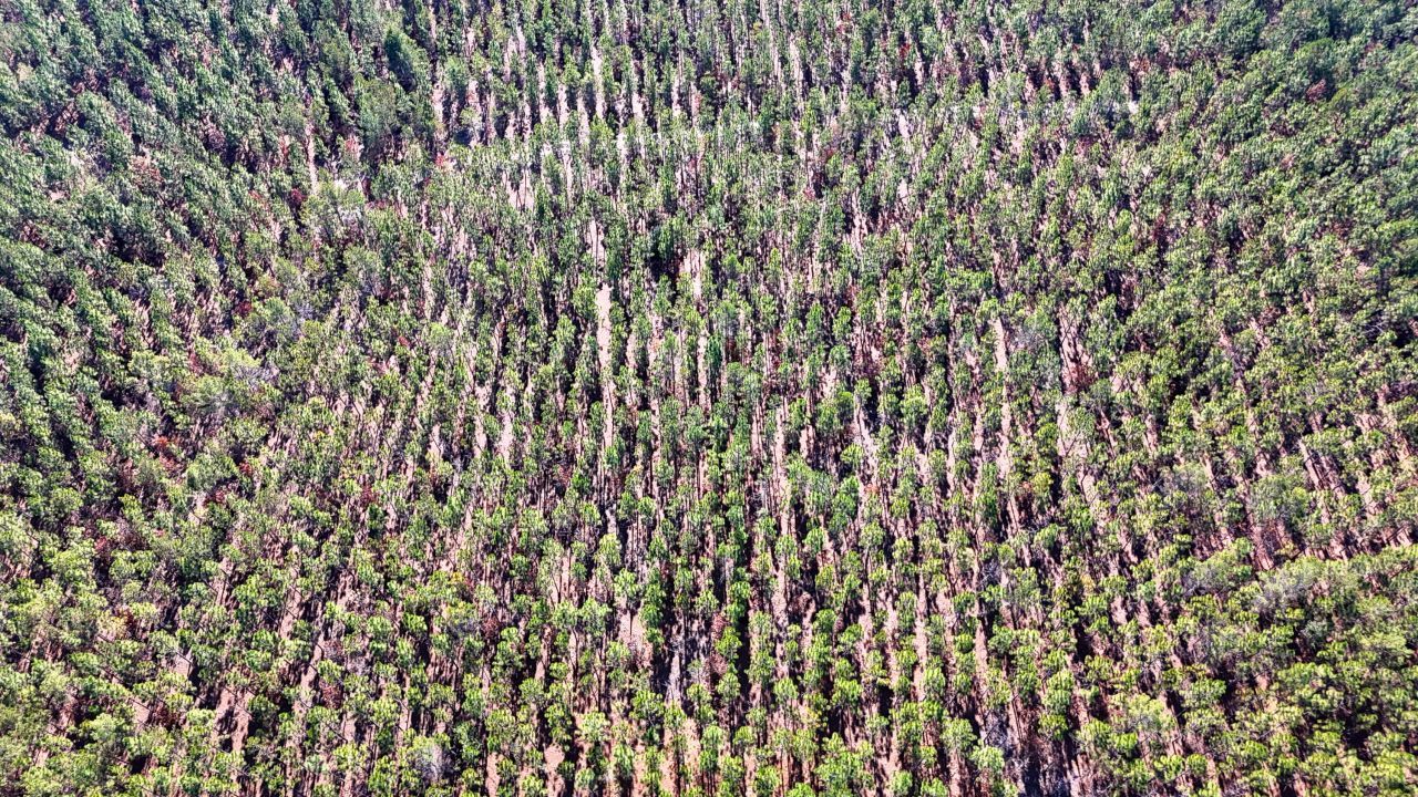 0 Beaver Dam Rd Photo 8