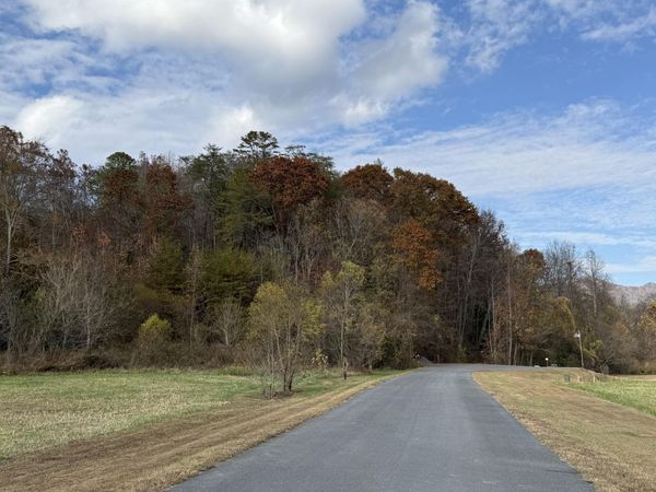 0 BEAR TRACK WAY, Del Rio, TN 37727