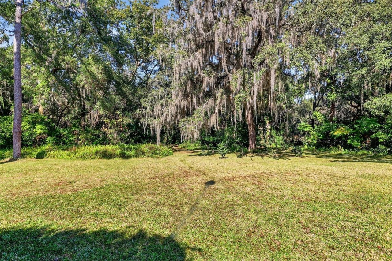 9345 Silver Lake Drive, Leesburg, FL 34788 Photo