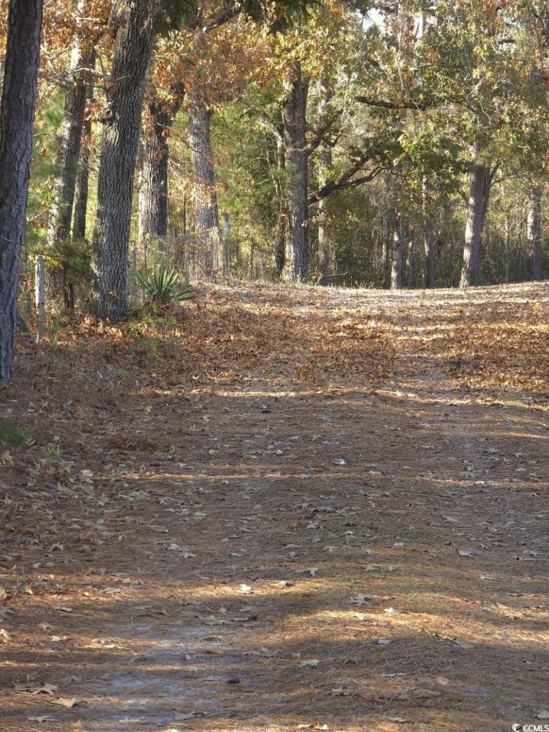 150 Landmark Rd. Photo 34