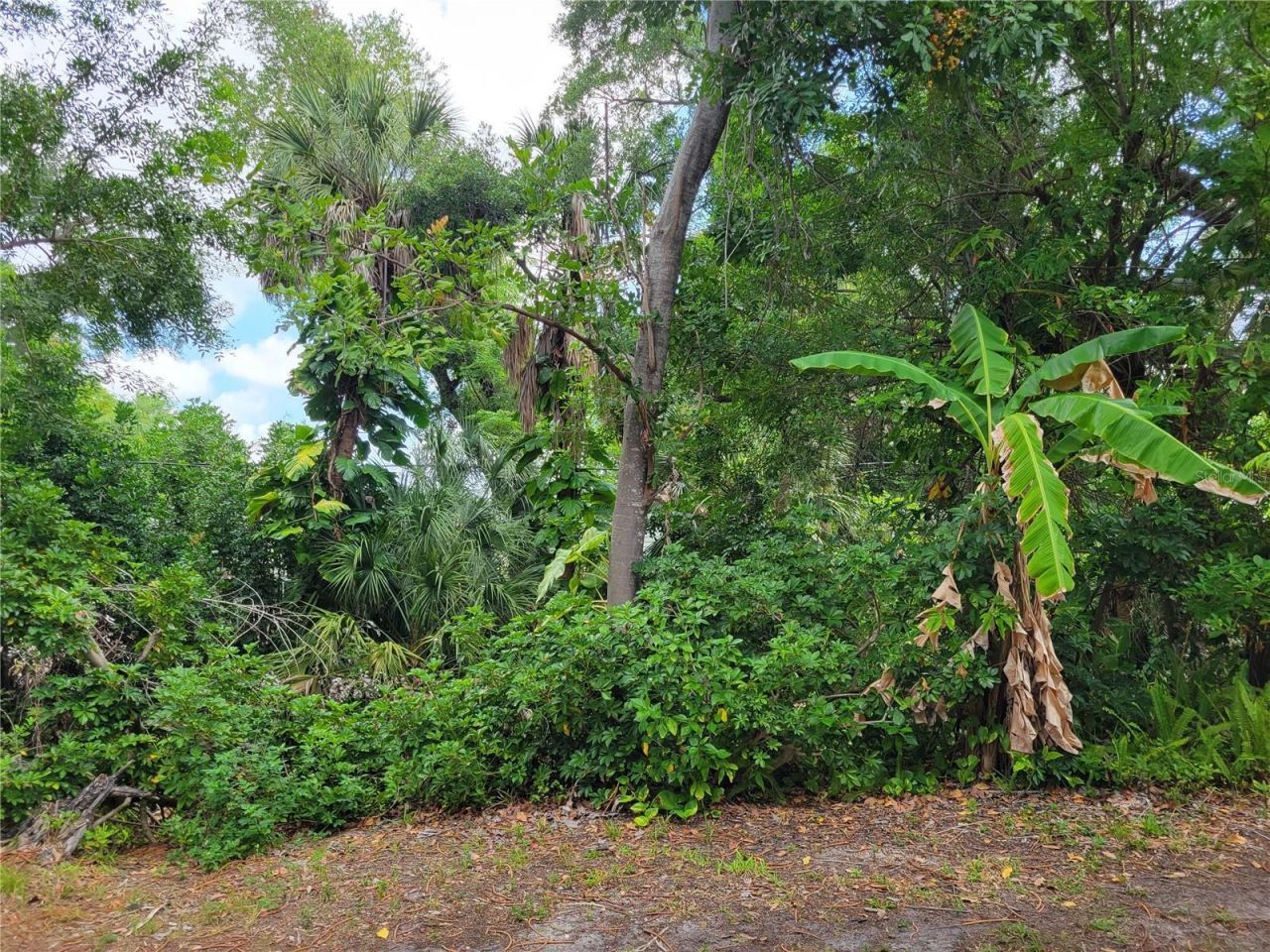 2009 Canal Drive, Unit N4, Bradenton, FL 34207 Photo