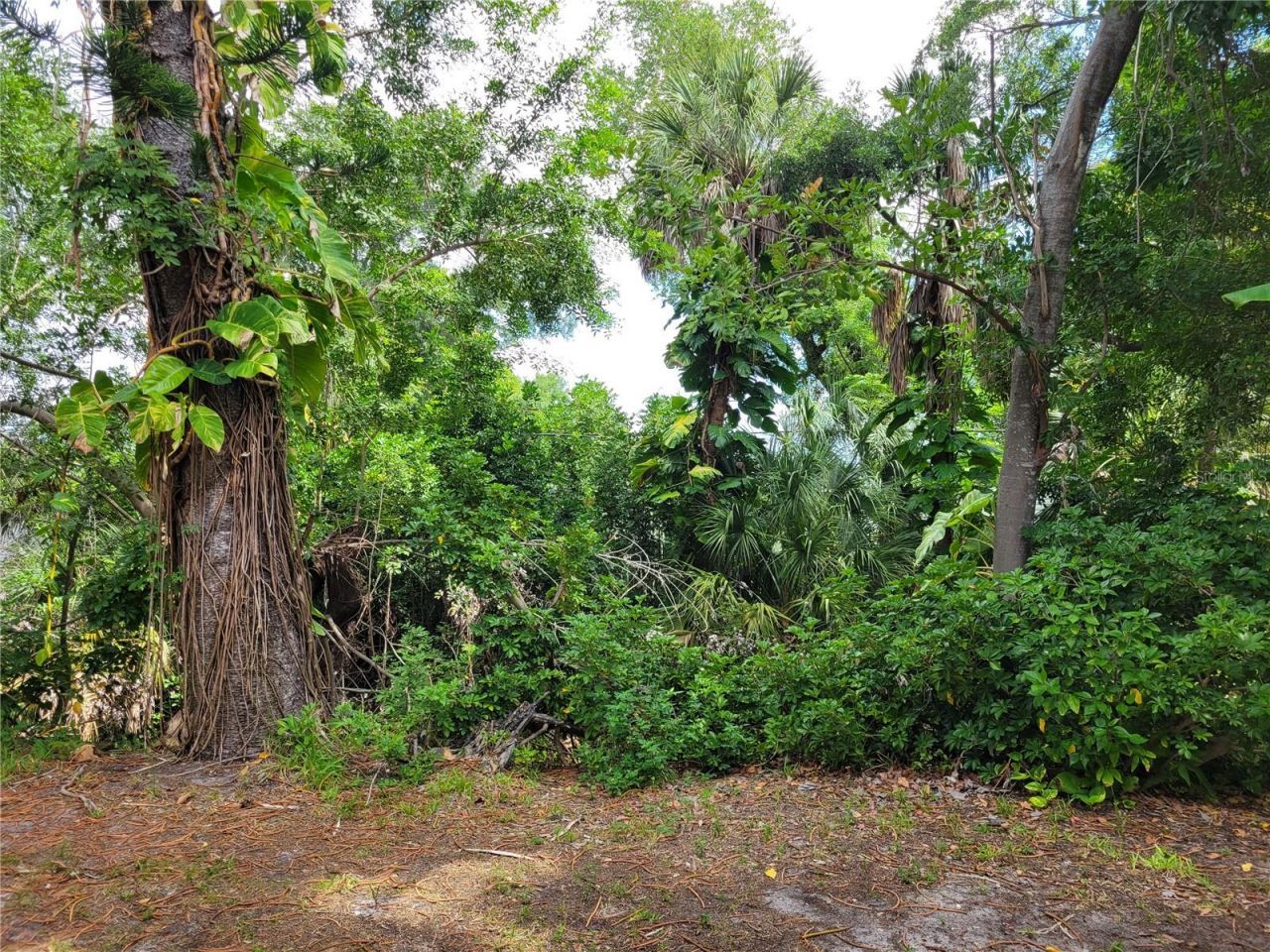 2009 Canal Drive, Unit N4, Bradenton, FL 34207 Photo