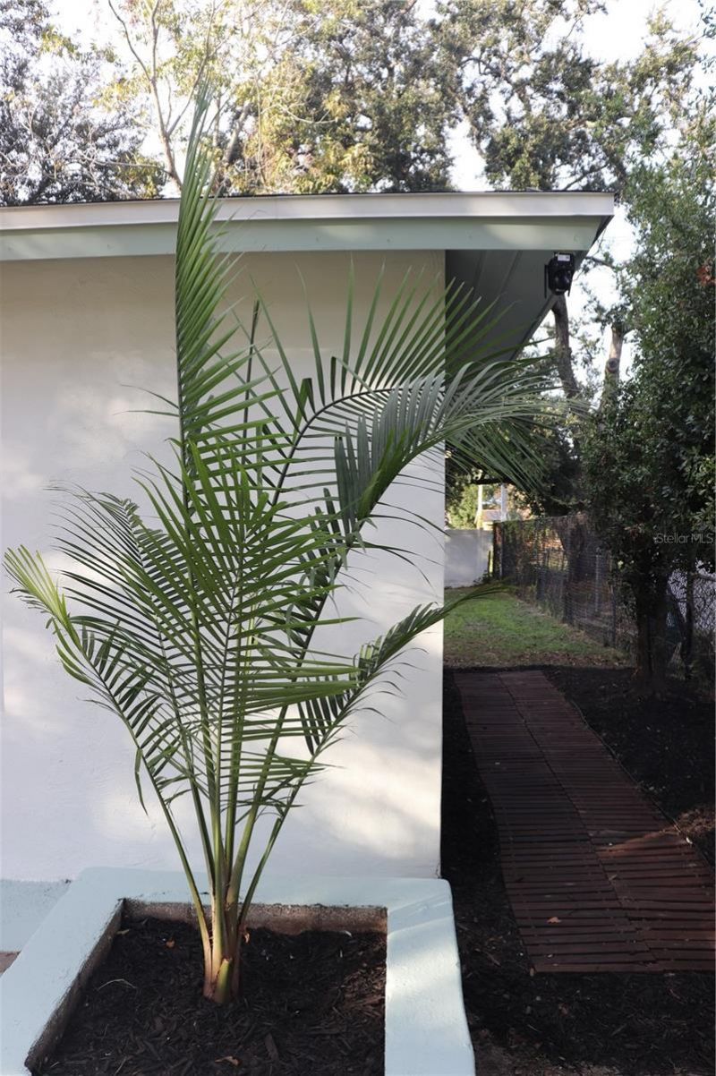 4749 Vargas Street, Orlando, FL 32811 Photo