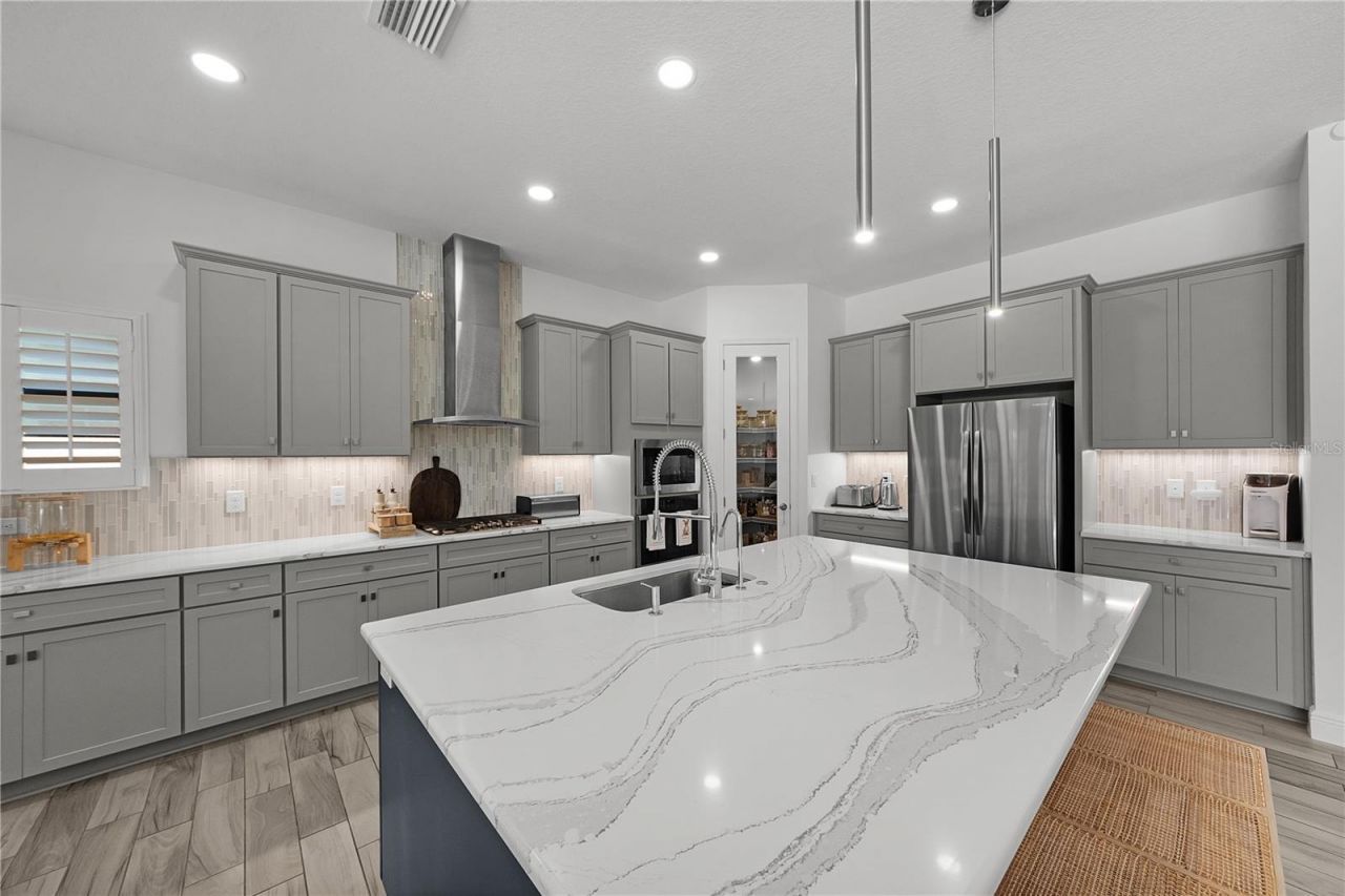 21878 Pristine Lake Boulevard, Land O Lakes, FL 34637 Photo