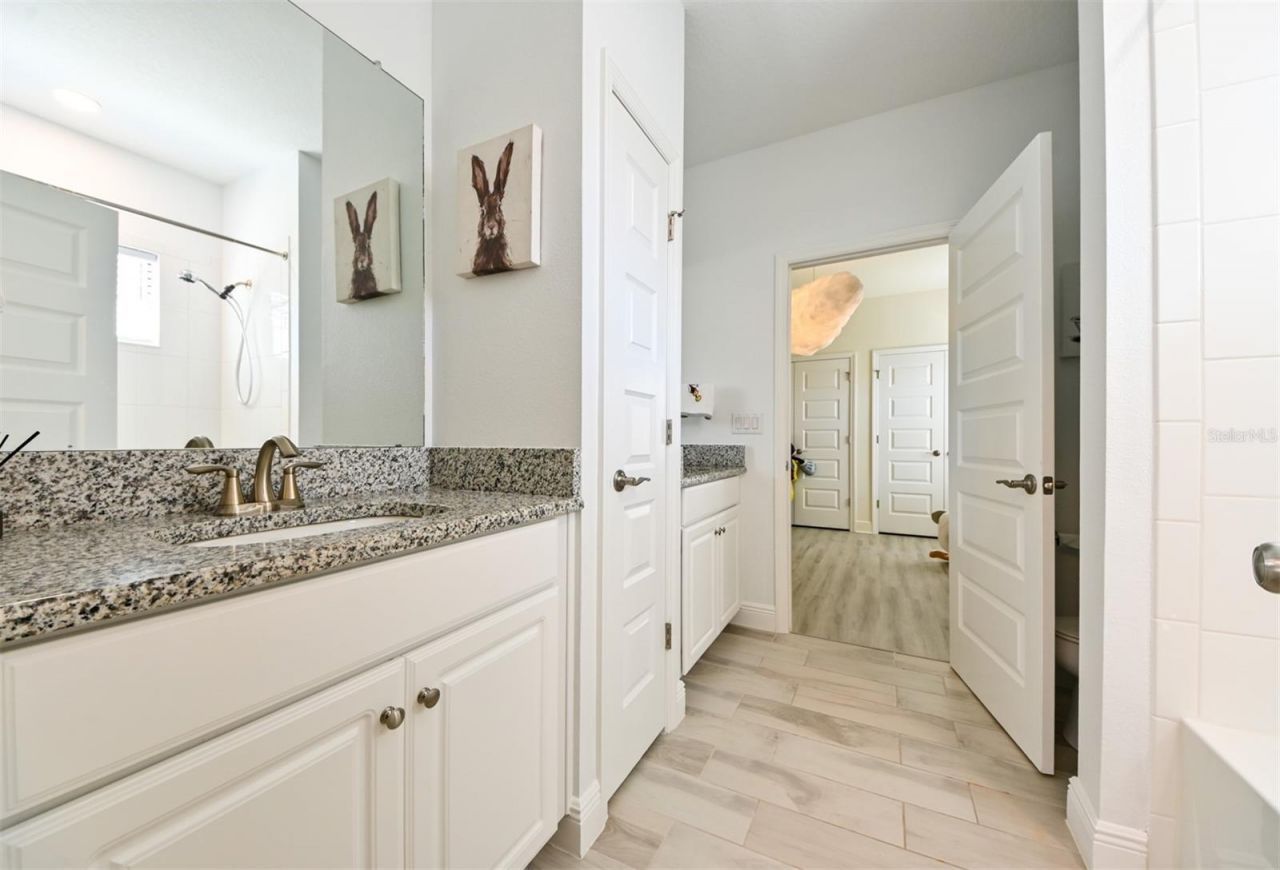 21878 Pristine Lake Boulevard, Land O Lakes, FL 34637 Photo