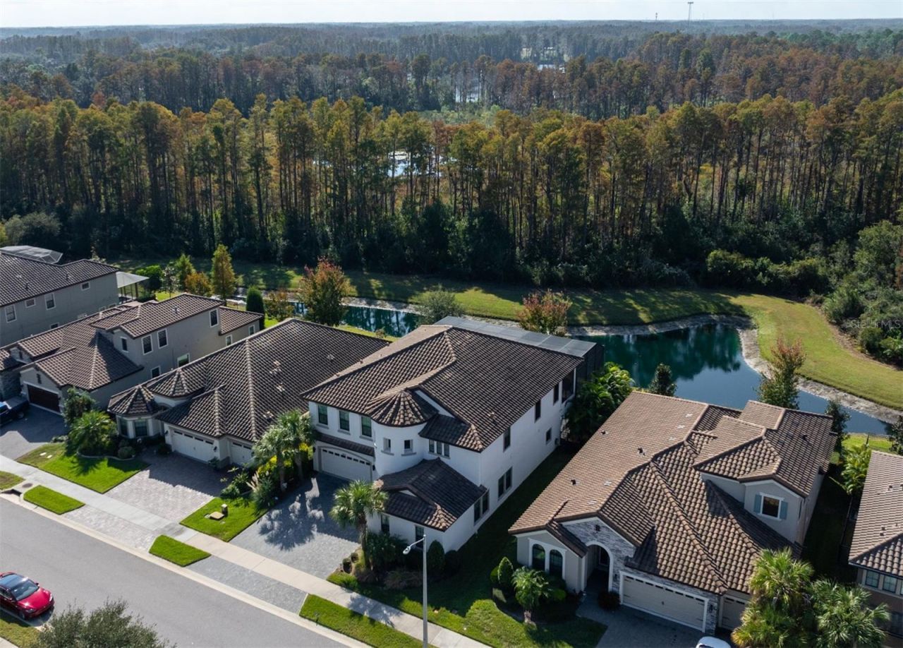 21878 Pristine Lake Boulevard, Land O Lakes, FL 34637 Photo