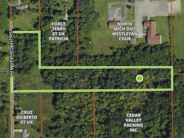 11298 S Gordon Avenue, Grant, MI 49327