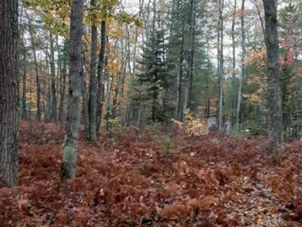 6710 Chippewa Trail, Rogers City, MI 49779