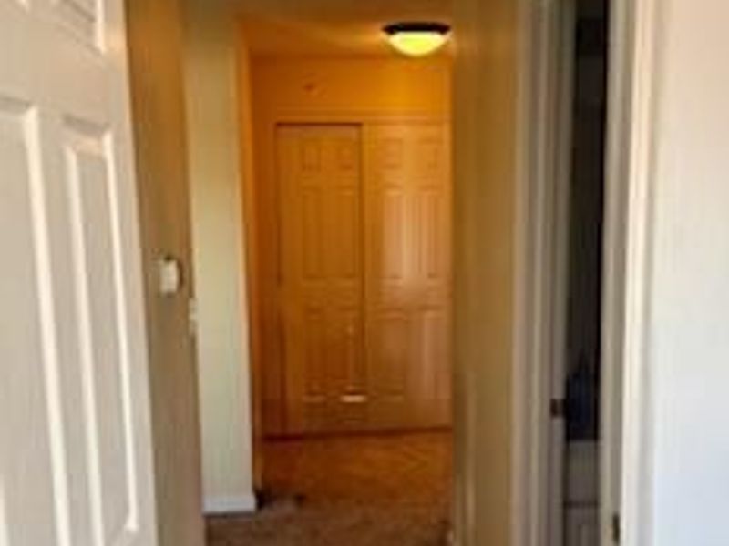 969 Mistflower Lane, Florence, KY 41042 Photo 29