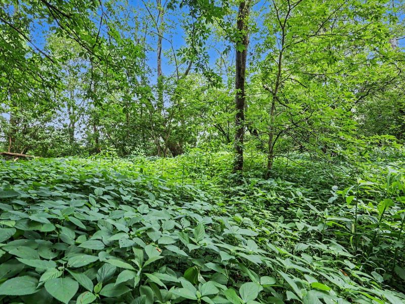 3787 Refugee Road SW, Hebron, OH 43025 Photo 20