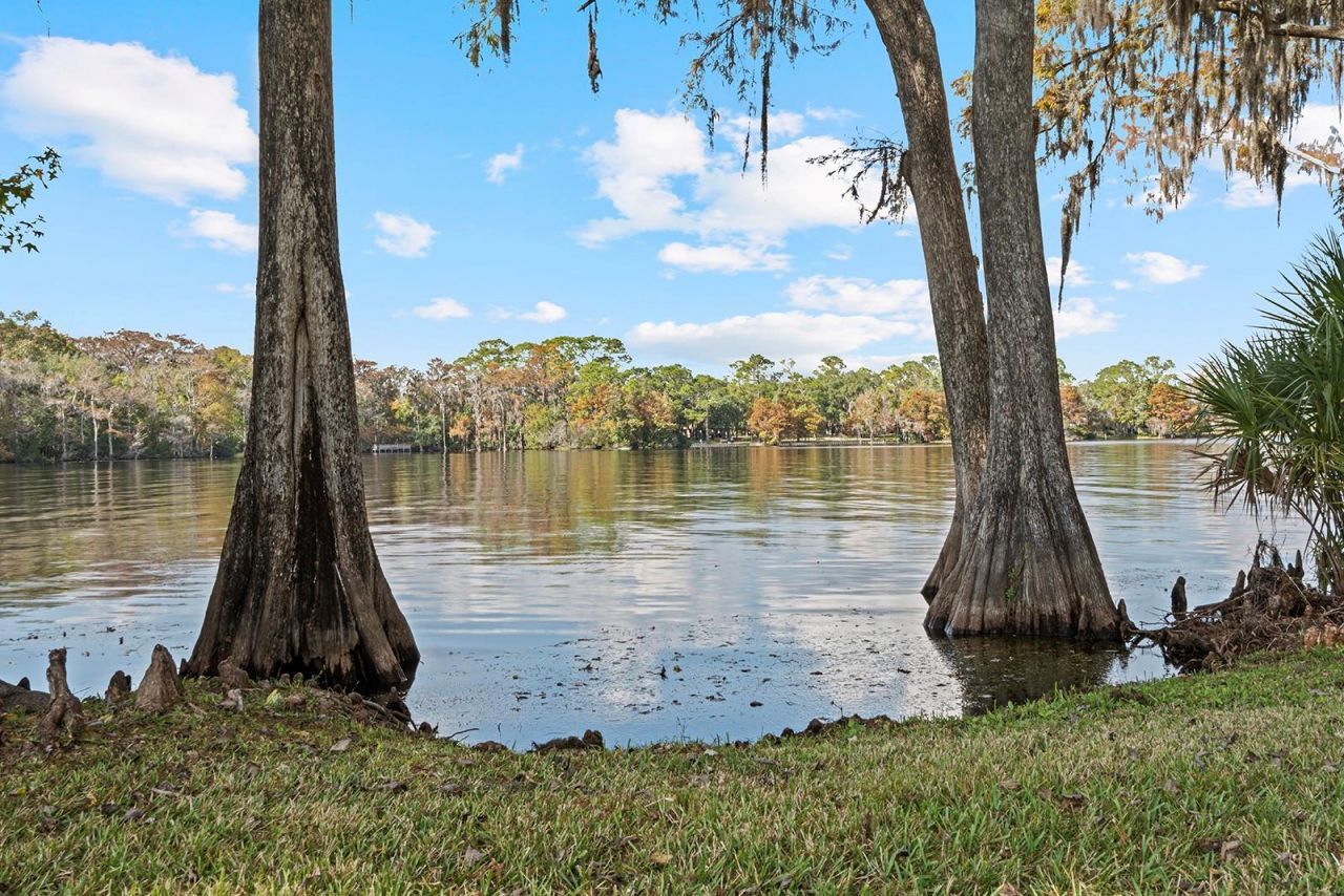 520 Lake Mills Road, Chuluota, FL 32766 Photo