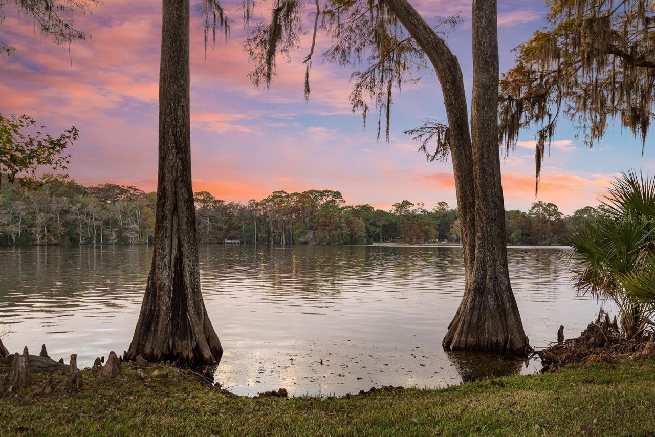 520 Lake Mills Road, Chuluota, FL 32766 Photo