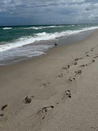 3140 S Ocean Drive, Unit 610, Hallandale Beach, FL 33009 Photo