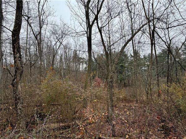 Surrey Drive SE, Minerva, OH 44657