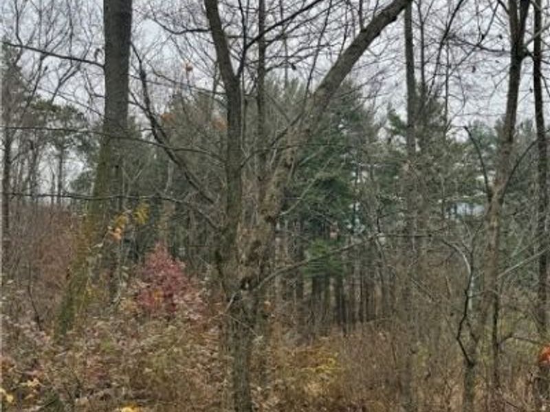 Surrey Drive SE, Minerva, OH 44657 Photo 3