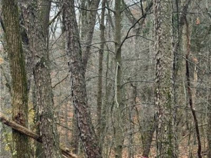 Surrey Drive SE, Minerva, OH 44657 Photo 5