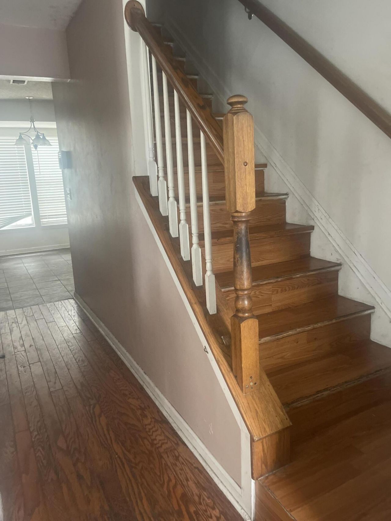 3009 Harris Mill Drive Photo 2