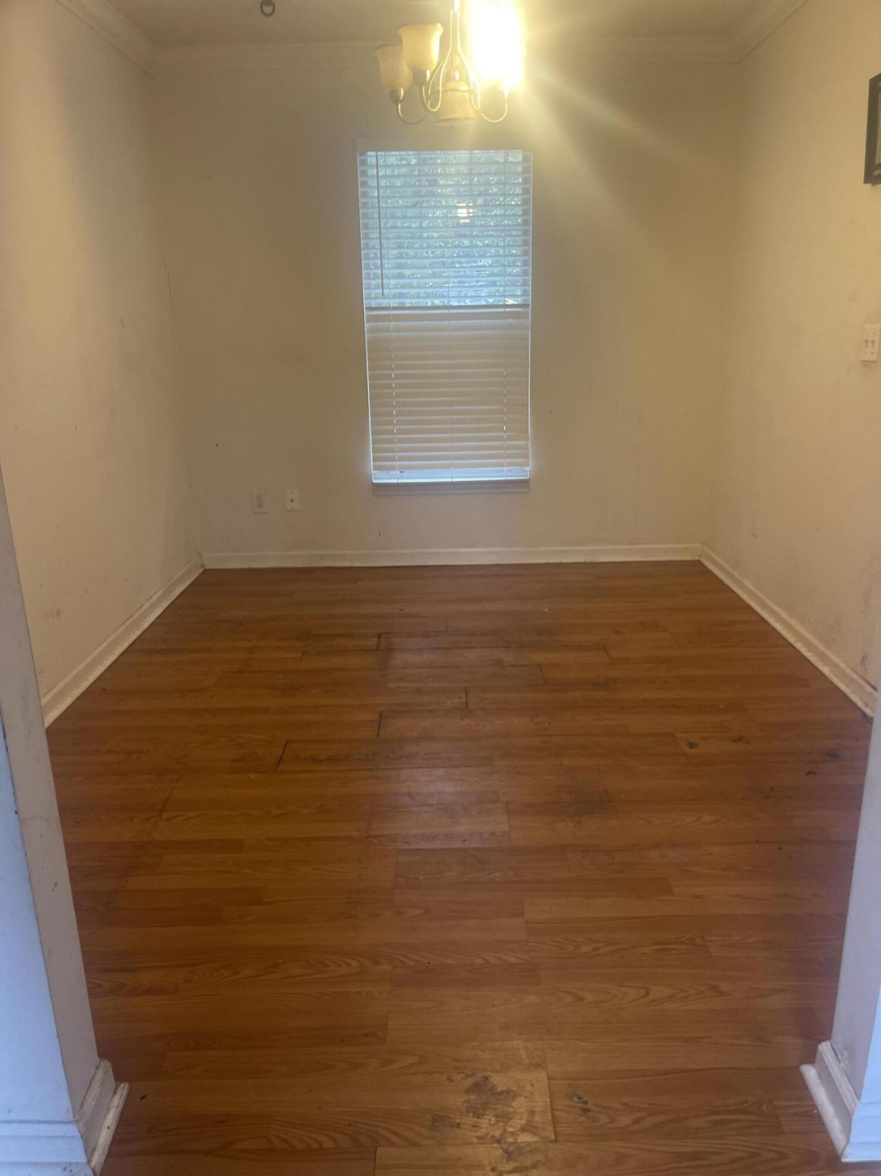 3009 Harris Mill Drive Photo 4