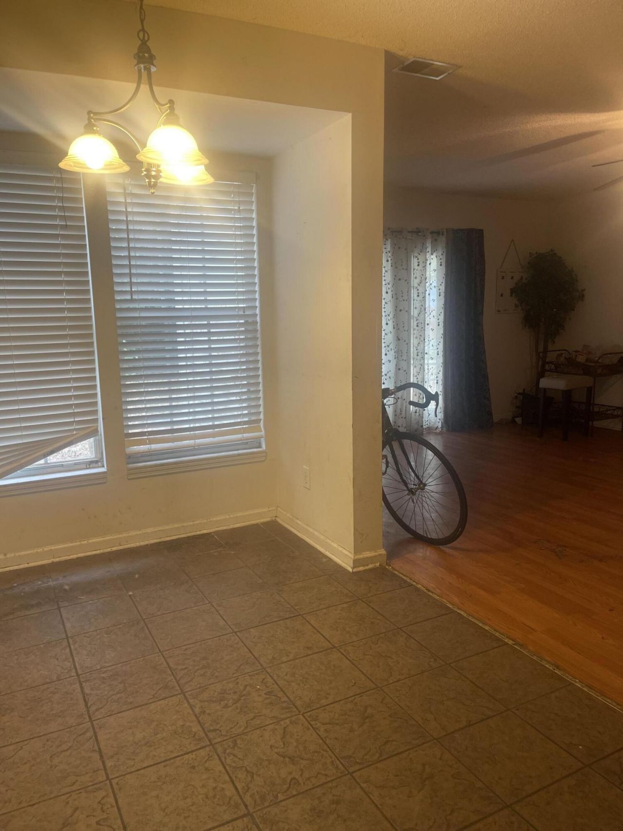 3009 Harris Mill Drive Photo 6