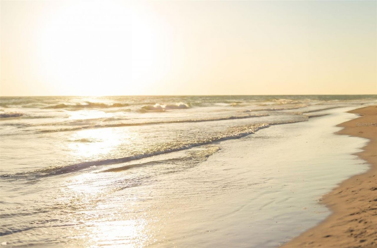 225 Little Pond Lane, Sarasota, FL 34242 Photo