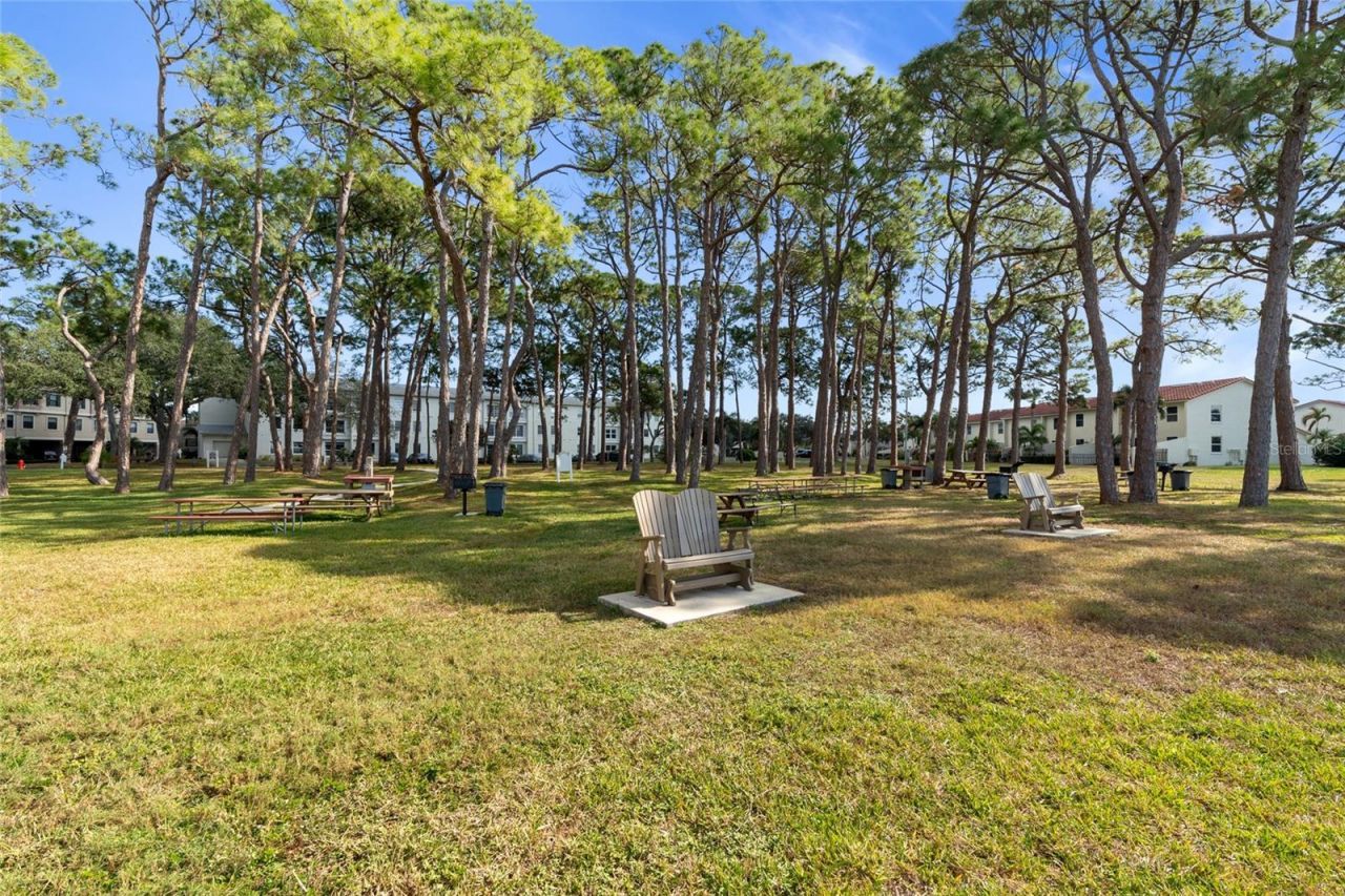 2700 Bayshore Boulevard, Unit 593, Dunedin, FL 34698 Photo