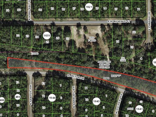 0 E Anton Drive, Citrus Springs, FL 34434