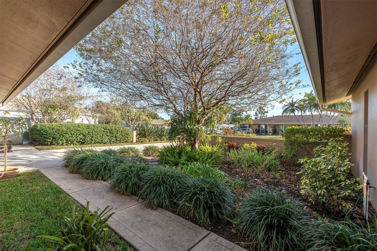 1101 87th Avenue N, Saint Petersburg, FL 33702 Photo