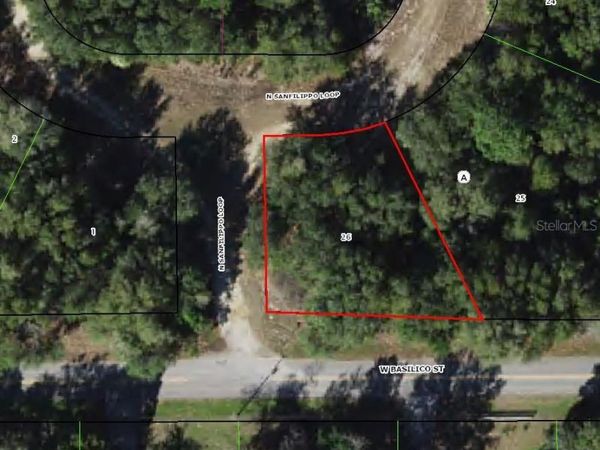 8549 N SAN FILIPPO LOOP, CRYSTAL RIVER, FL 34428