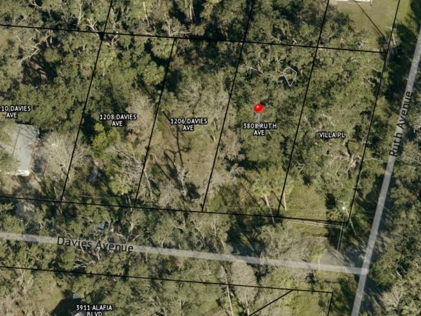 1204 DAVIES ROAD, BRANDON, FL 33511