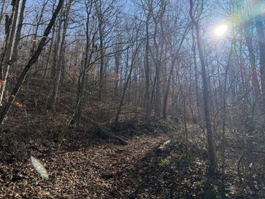 198 Dan Dishman Road, Monticello, KY 42633