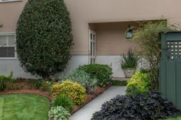 1003 Ventura Place photo 4