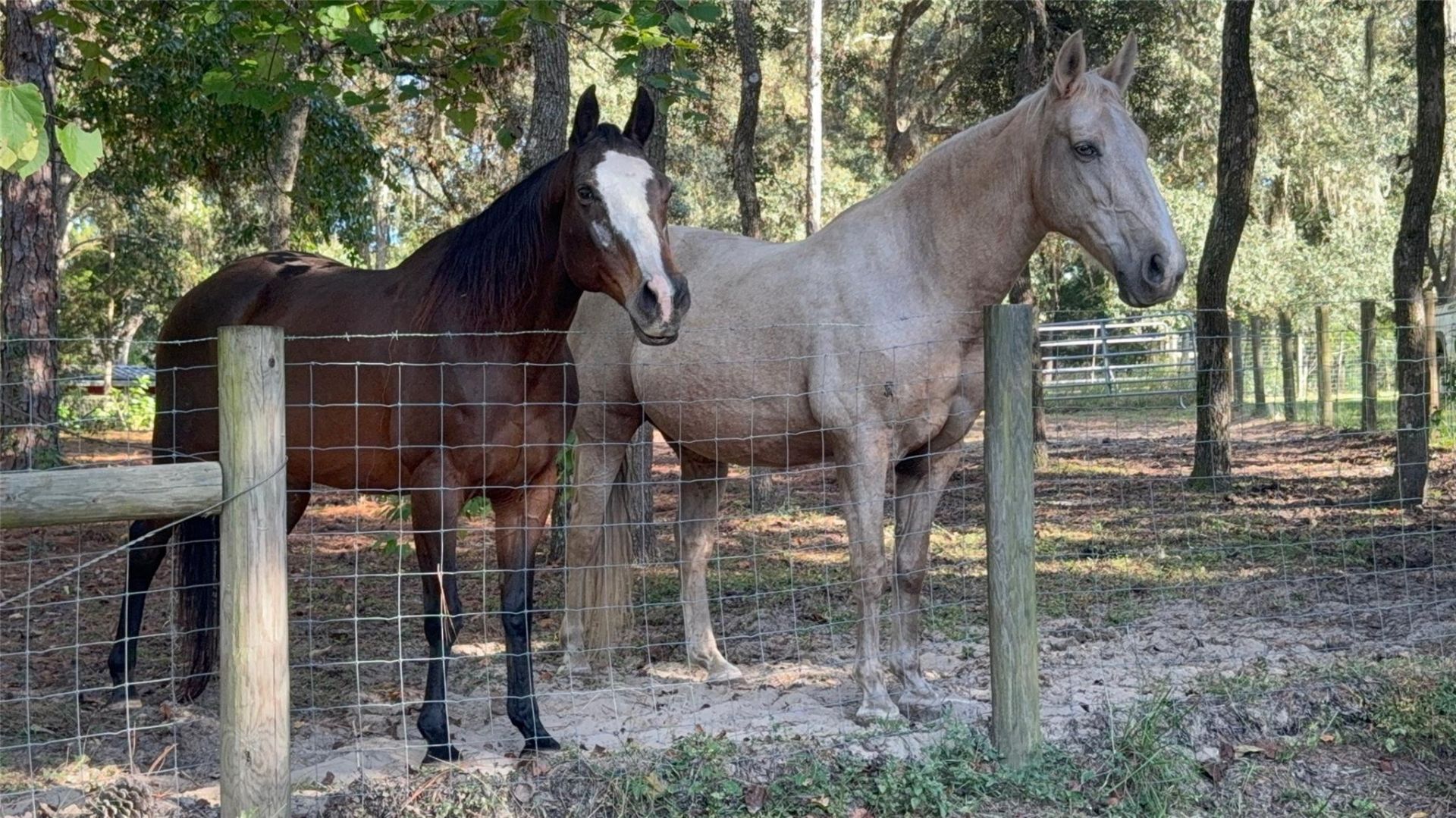 3050 E Possum Court, Inverness, FL 34452 Photo