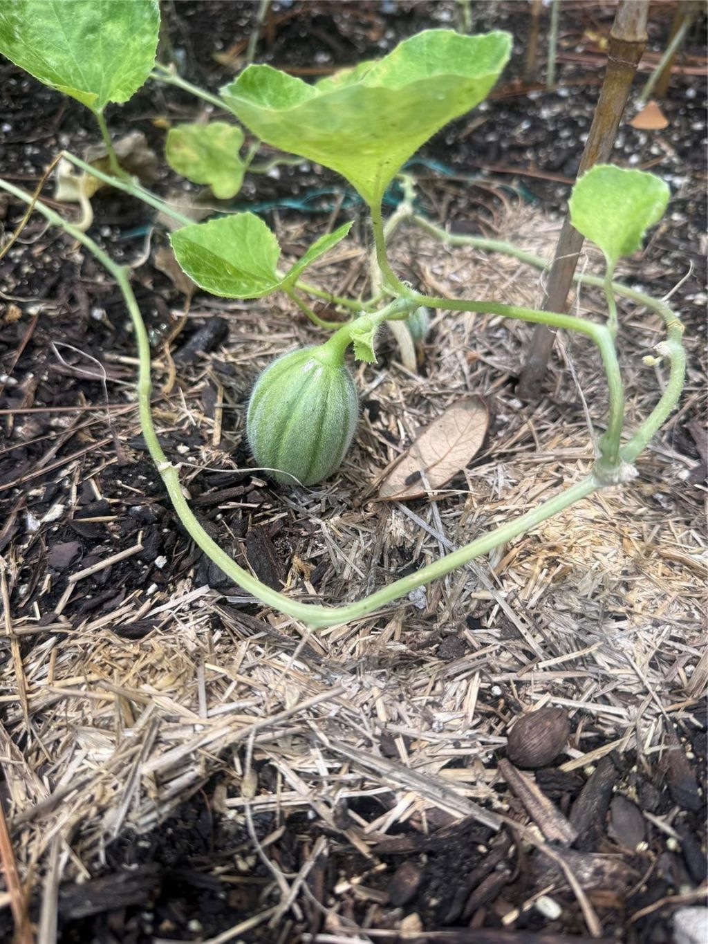 3050 E Possum Court, Inverness, FL 34452 Photo