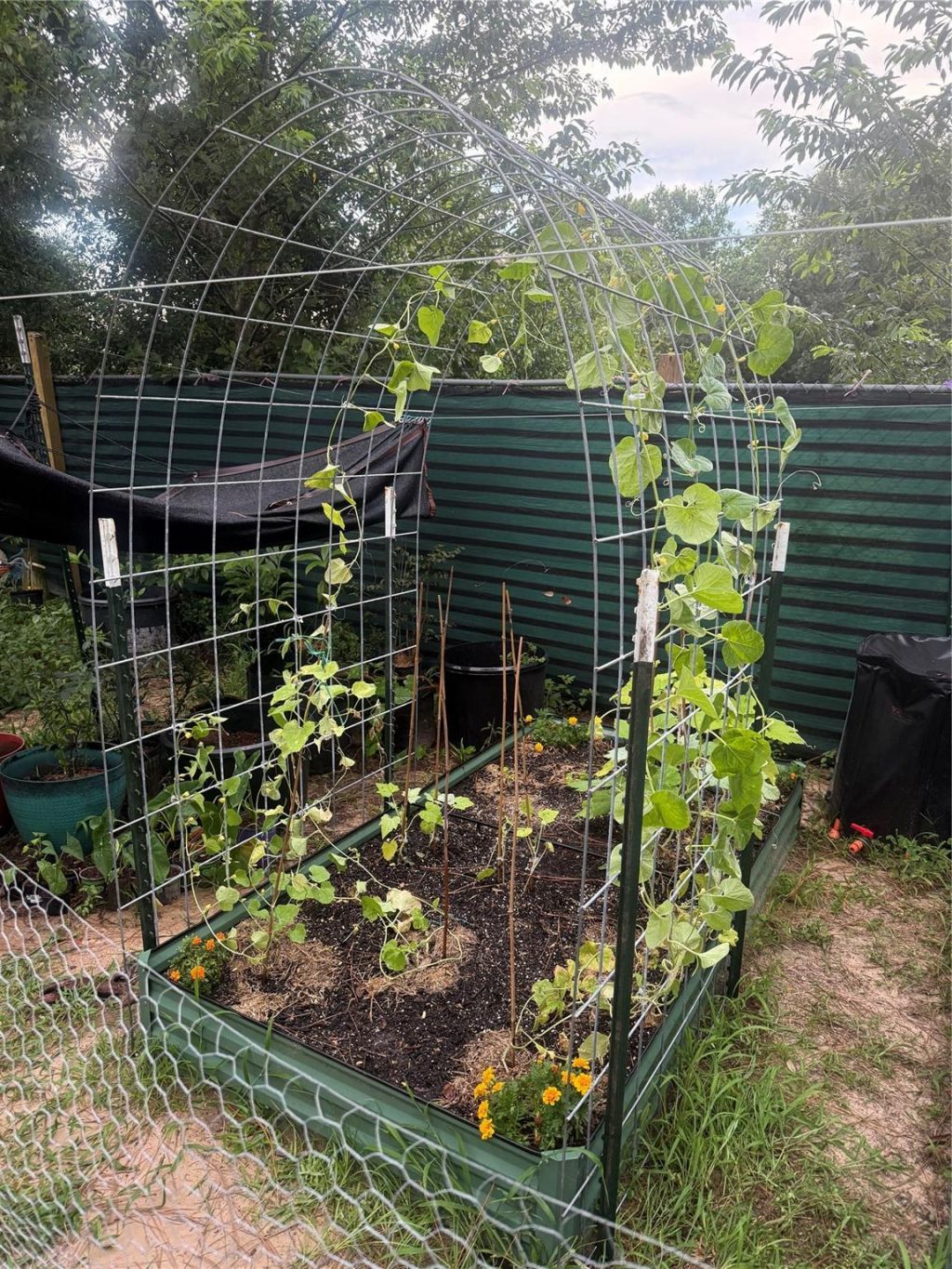 3050 E Possum Ct, Inverness, FL 34452 Photo