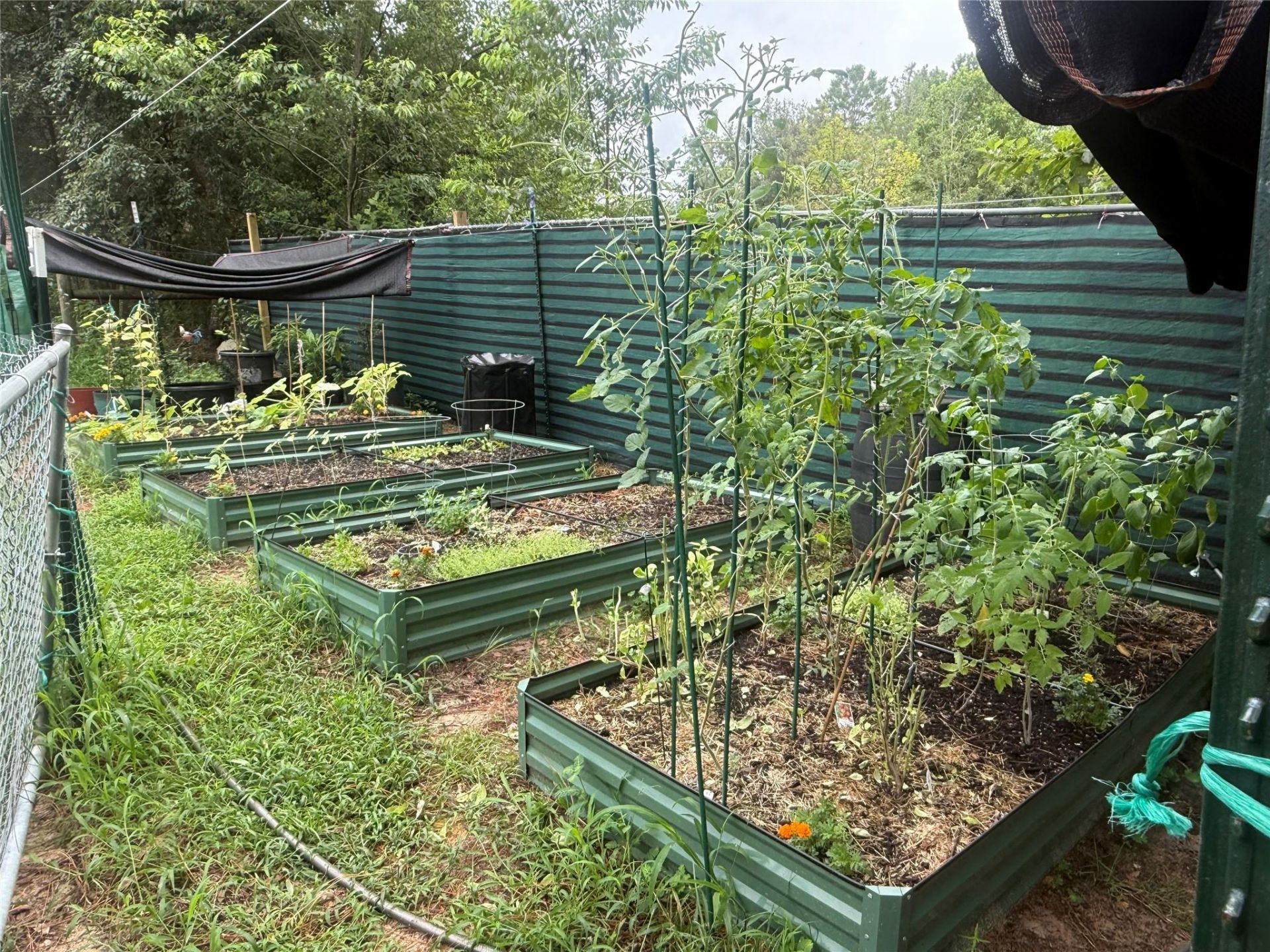 3050 E Possum Ct, Inverness, FL 34452 Photo